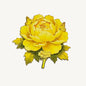 Peony Flower Refrigerator Magnet – Decorative Metal Floral Magnet with Raised Petals & Enamel Finish